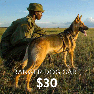 _0001_ranger-dog-care.png