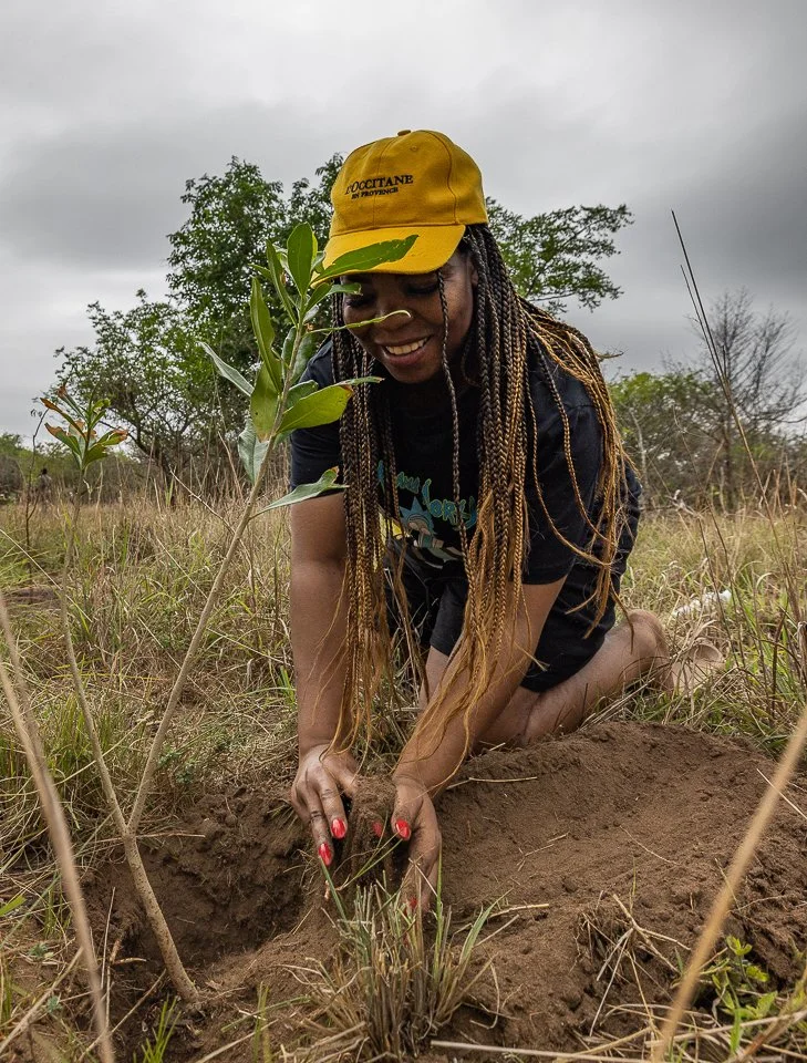 PLANTING BEGINS AT UKUWELA'S SAND FOREST