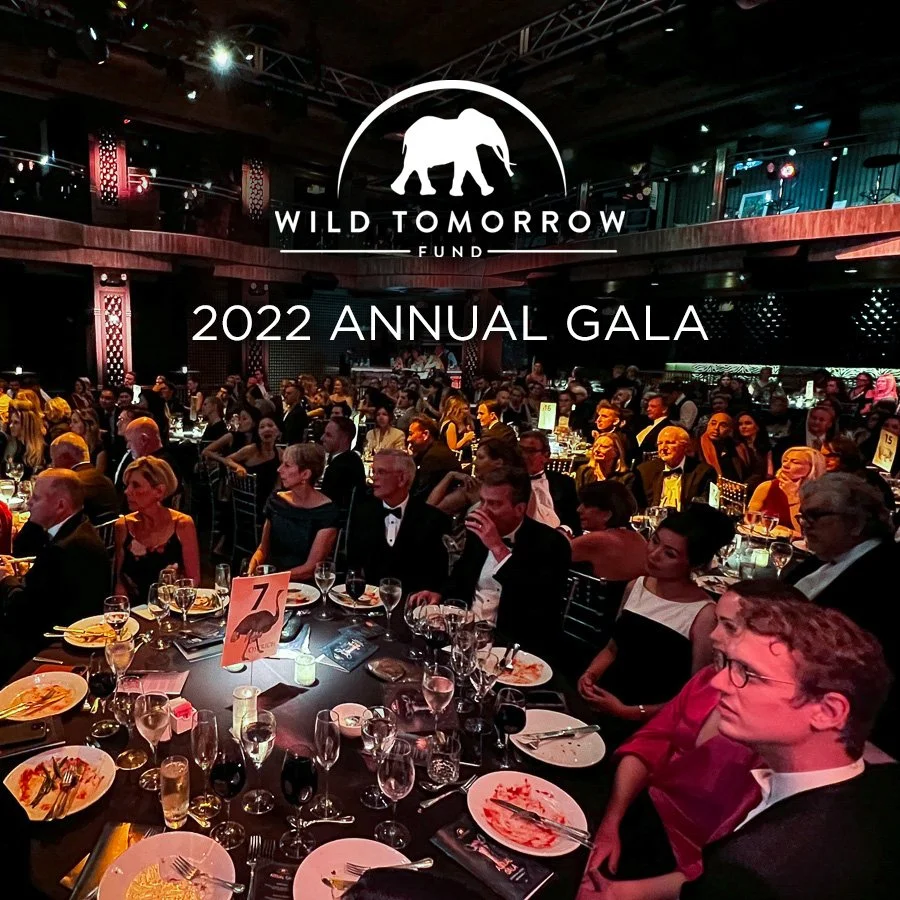 A WILDLY SUCCESSFUL 2022 ANNUAL GALA