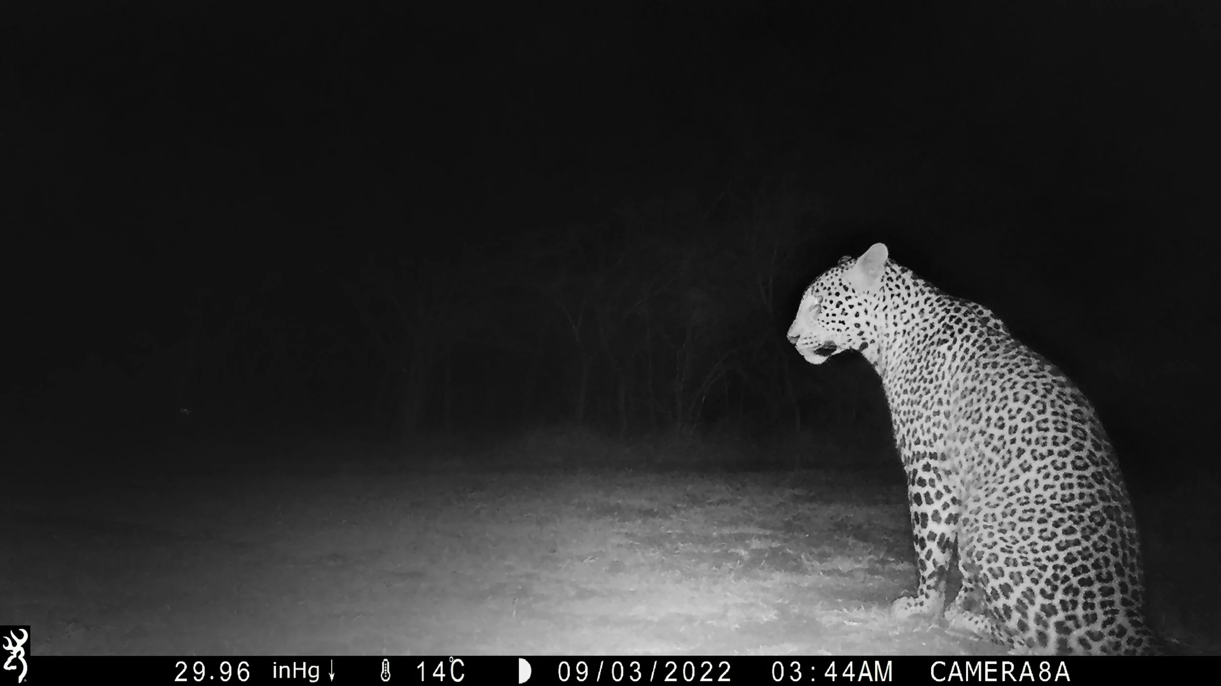 LEOPARD SURVEY LAUNCHED AT UKUWELA