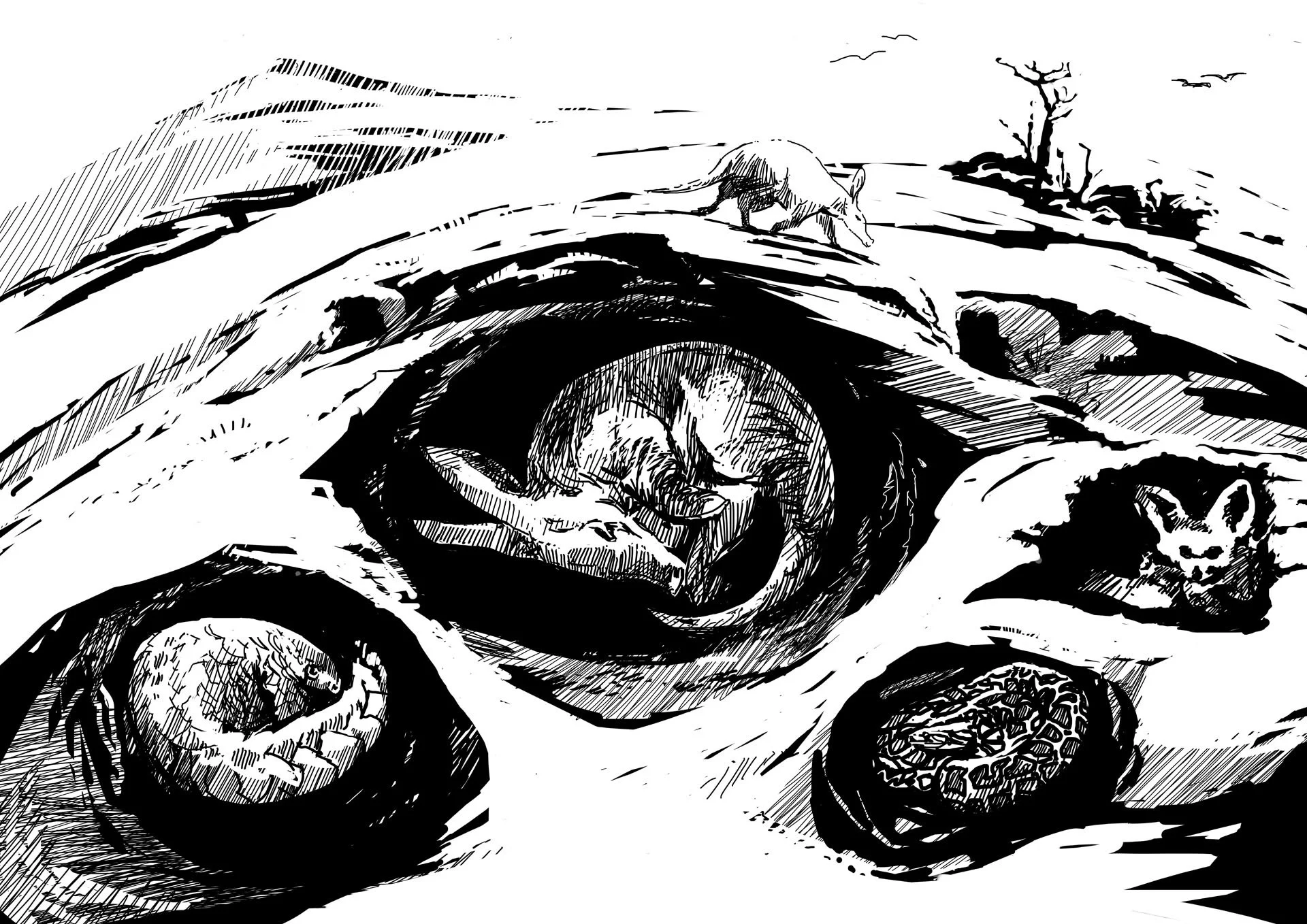 MAKING A DIFFERENCE: INSIGHTS FROM SIMON MUSTOE