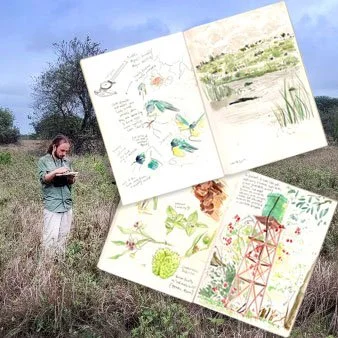 DRAWN IN TO LIFE: SKETCHING AND BEING THERE