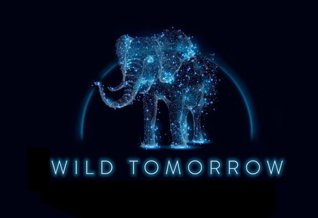 HAPPY CRYPTO BIRTHDAY, ETHEREUM! 