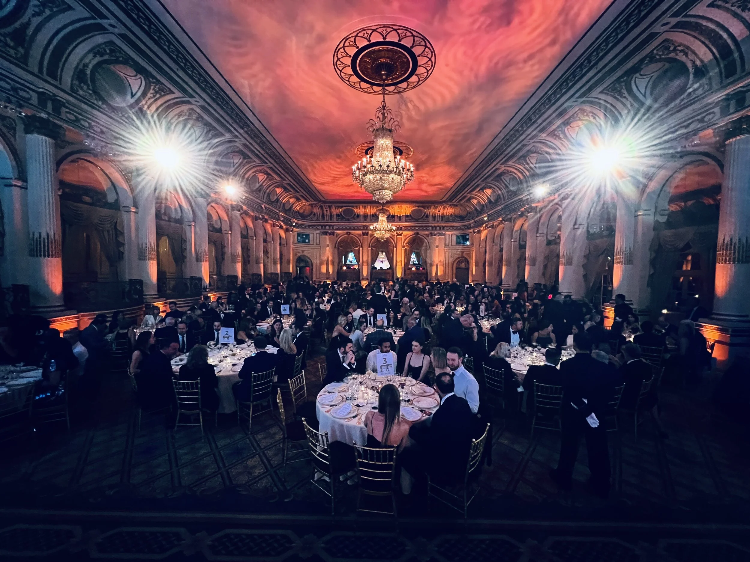 A RECORD-BREAKING 2024 GALA FOR WILD TOMORROW