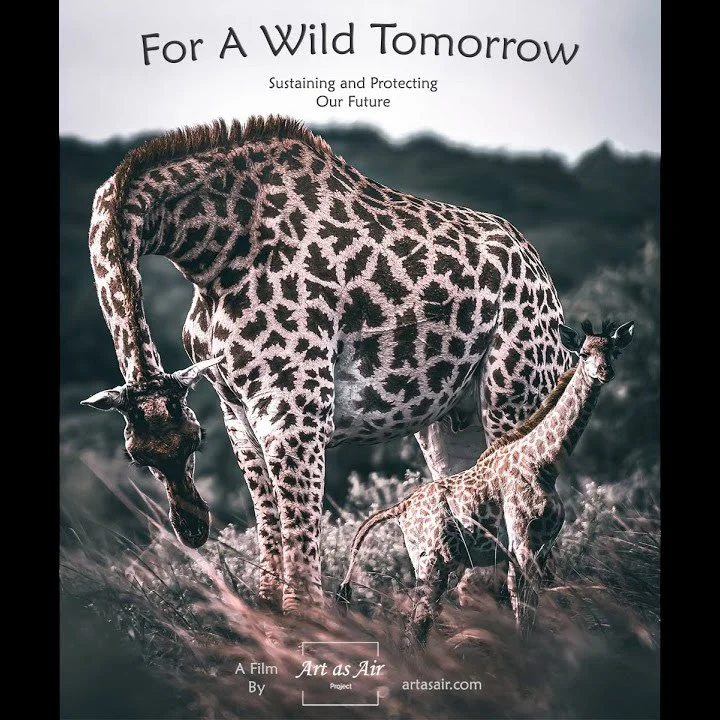 FOR A WILD TOMORROW: AWARD-WINNING FILM HIGHLIGHTS WILD TOMORROW’S WORK