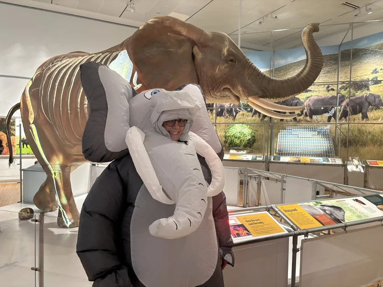 TEAM ELEPHANT IS READY FOR THE UNITED AIRLINES NYC HALF — Wild