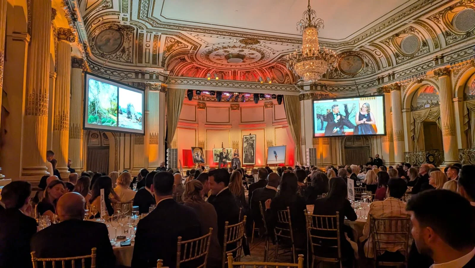 2025 ANNUAL GALA: CELEBRATING 10 YEARS OF CONSERVATION &amp; COMMUNITY