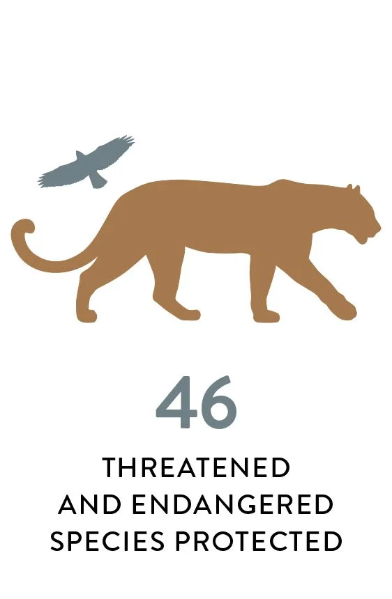 threatened stat.jpg
