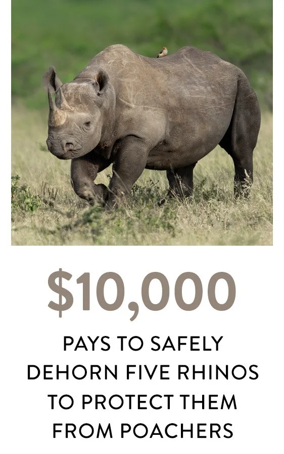 rhino money.jpg