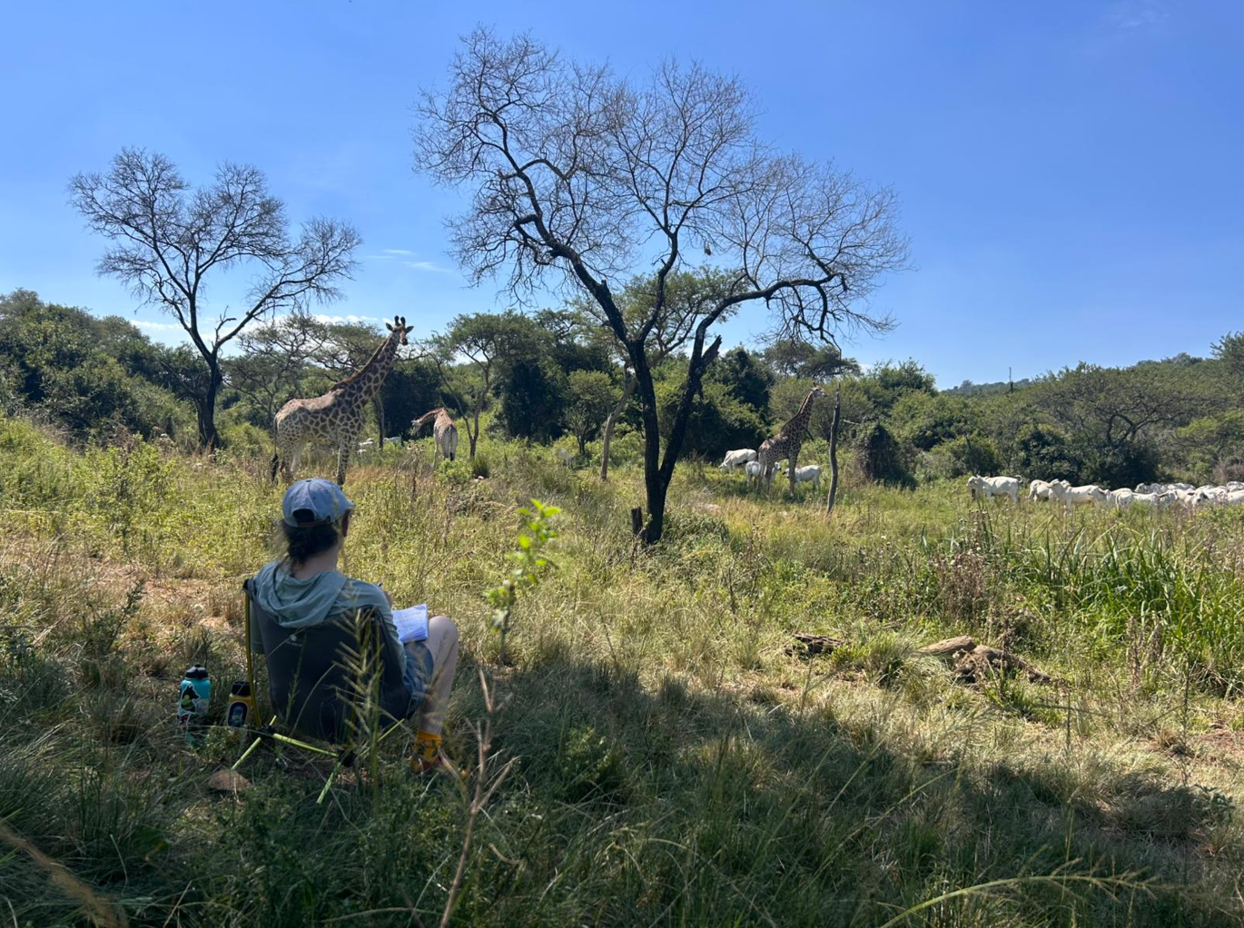 FROM PIONEER TO THE NEXT GENERATION OF GIRAFFE RESEARCHERS