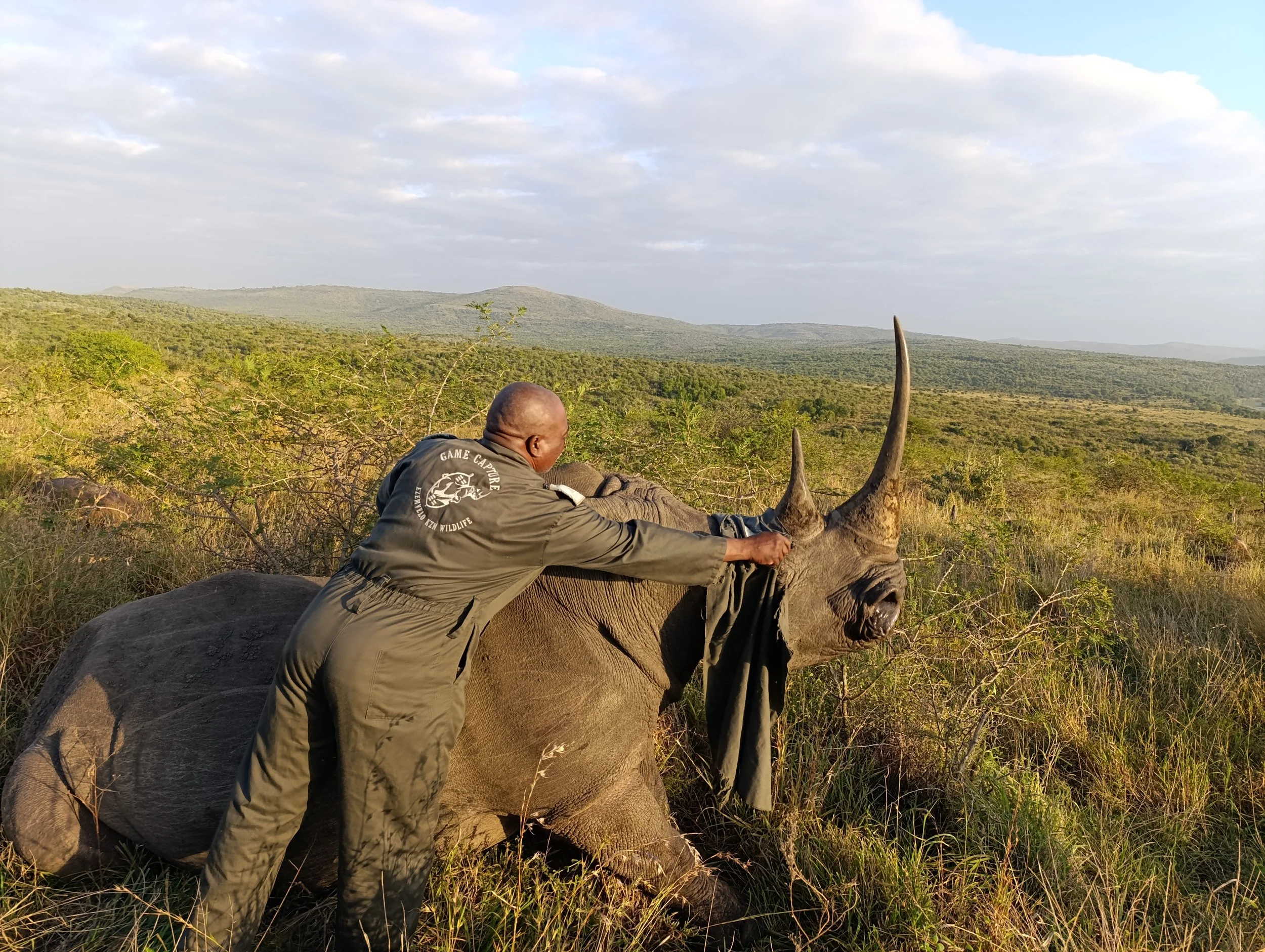  EVALUATING STATUS OF KWAZULU-NATAL’S RHINOS AFTER CRITICAL INTERVENTIONS