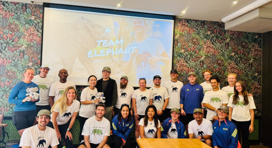 TEAM ELEPHANT TAKES ON THE ICONIC BMW BERLIN MARATHON