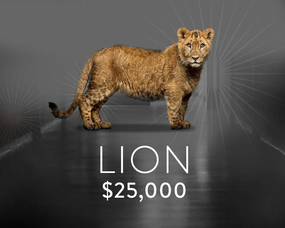 lion.jpg