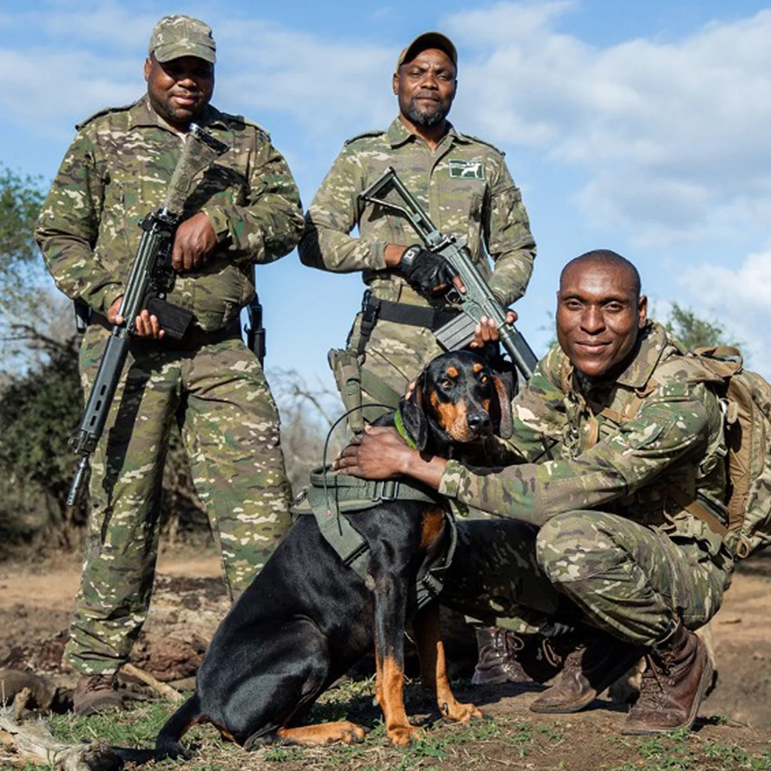 K9 Raptors NEWS — Wild Tomorrow