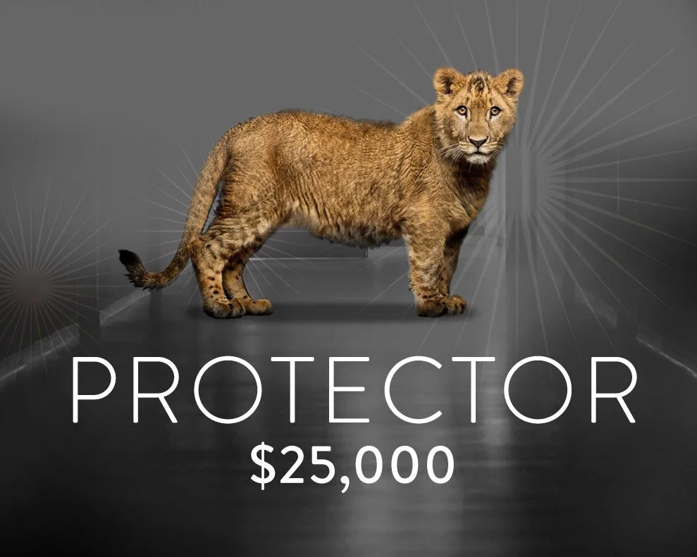 2026 Wild Tomorrow Annual Gala - Protector Level Sponsor