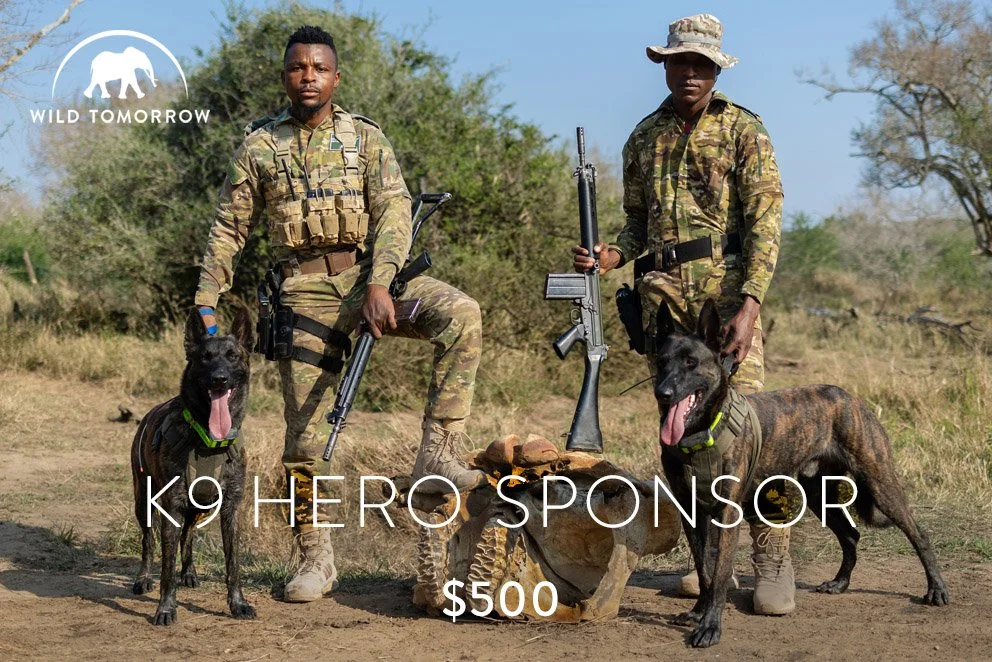 K9 Hero.jpg