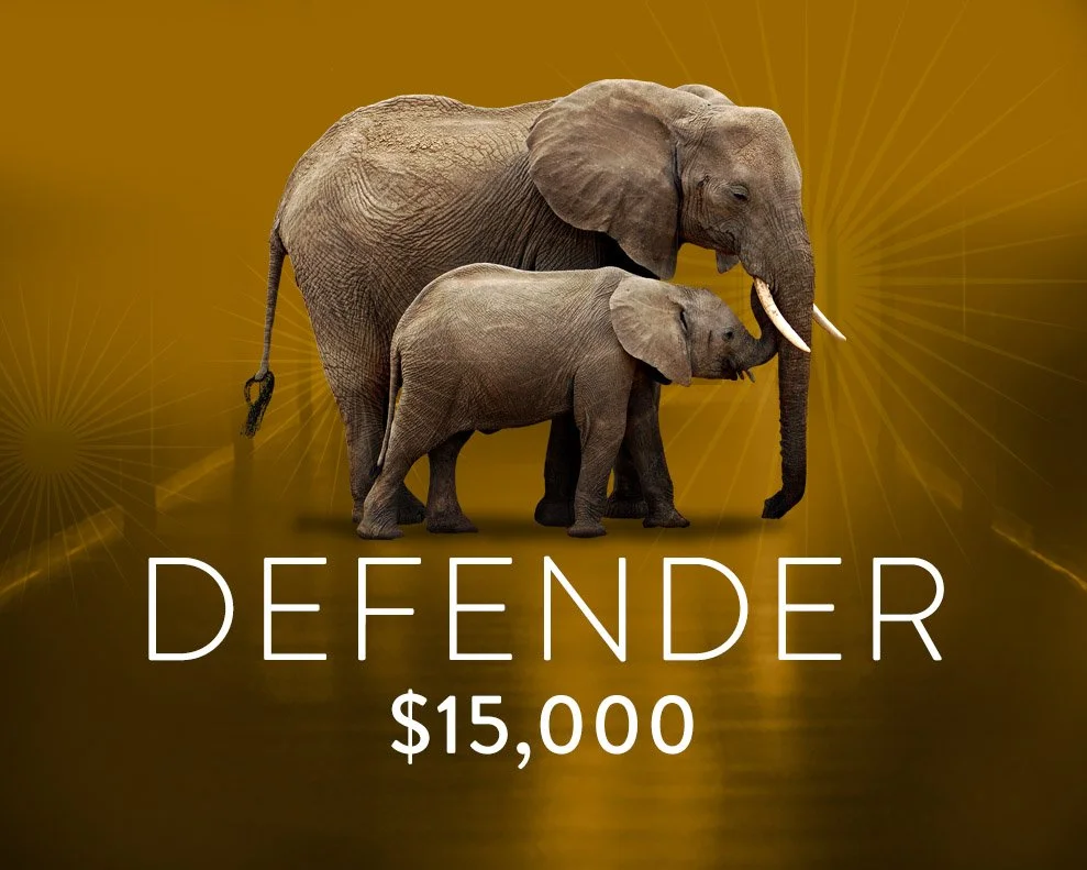 2026 Wild Tomorrow Annual Gala - Defender Level Sponsor