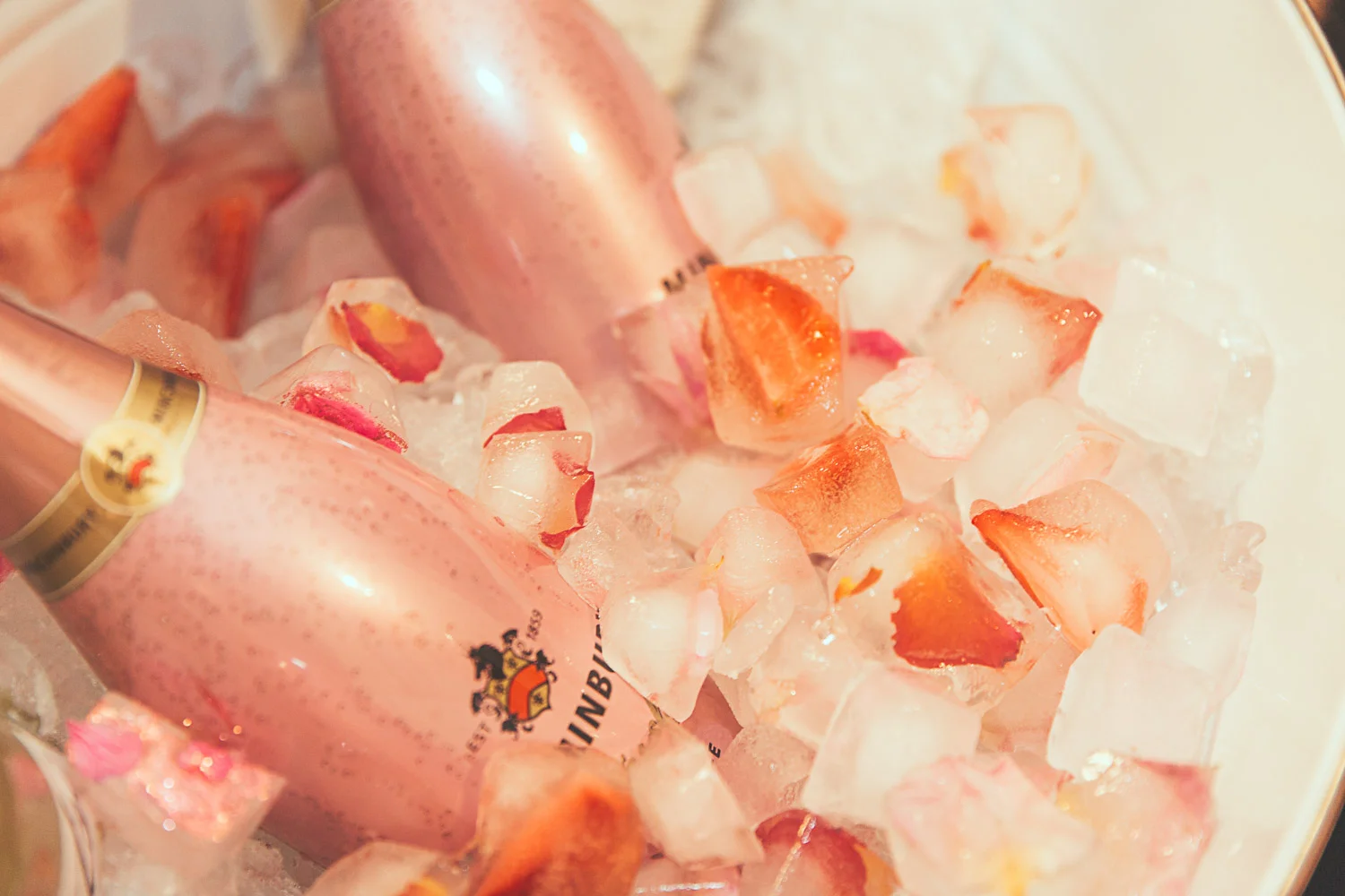 ROCHELLE'S HENS_42.JPG