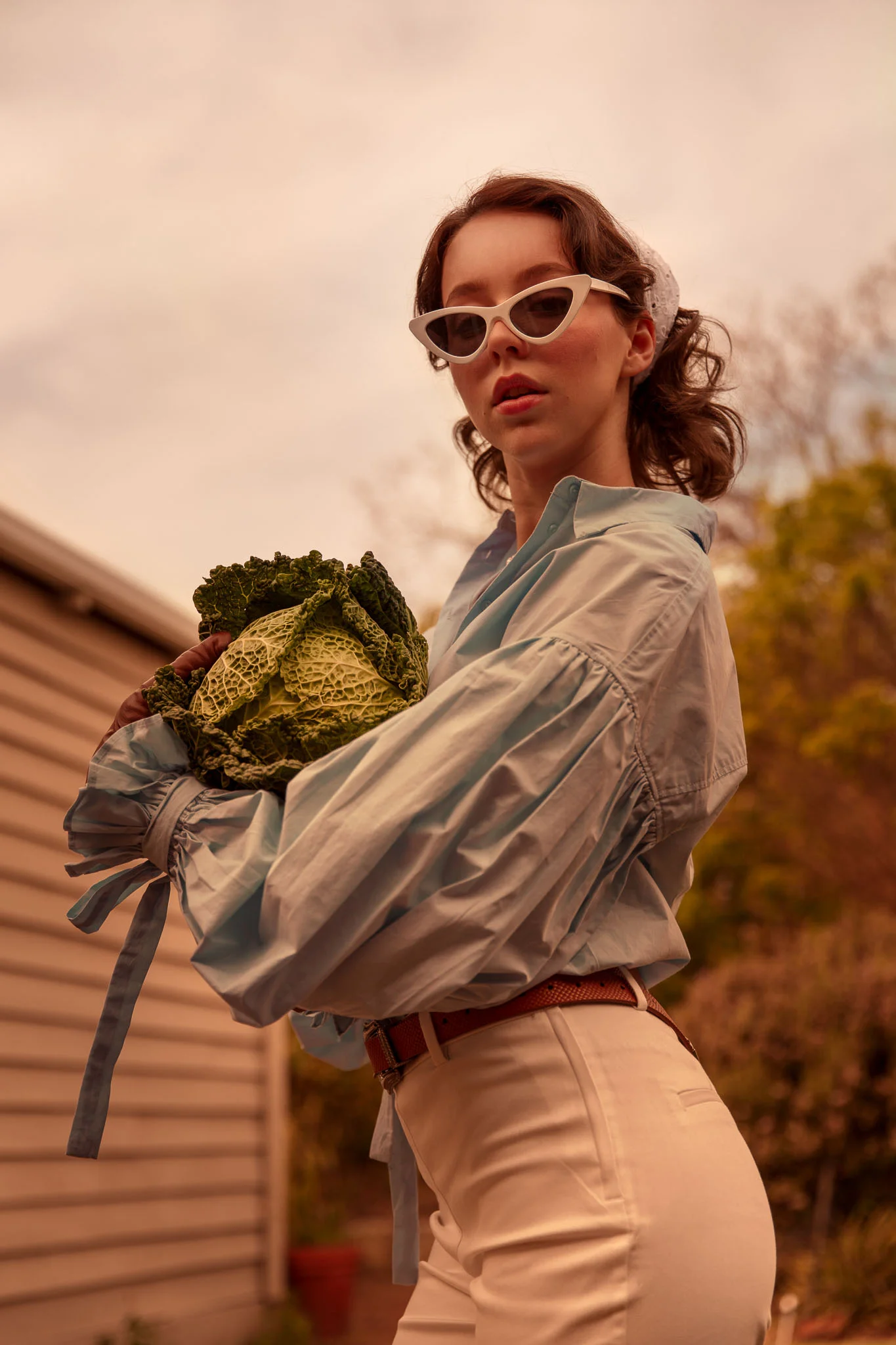 HOMESTEAD DREAMS_02.JPG