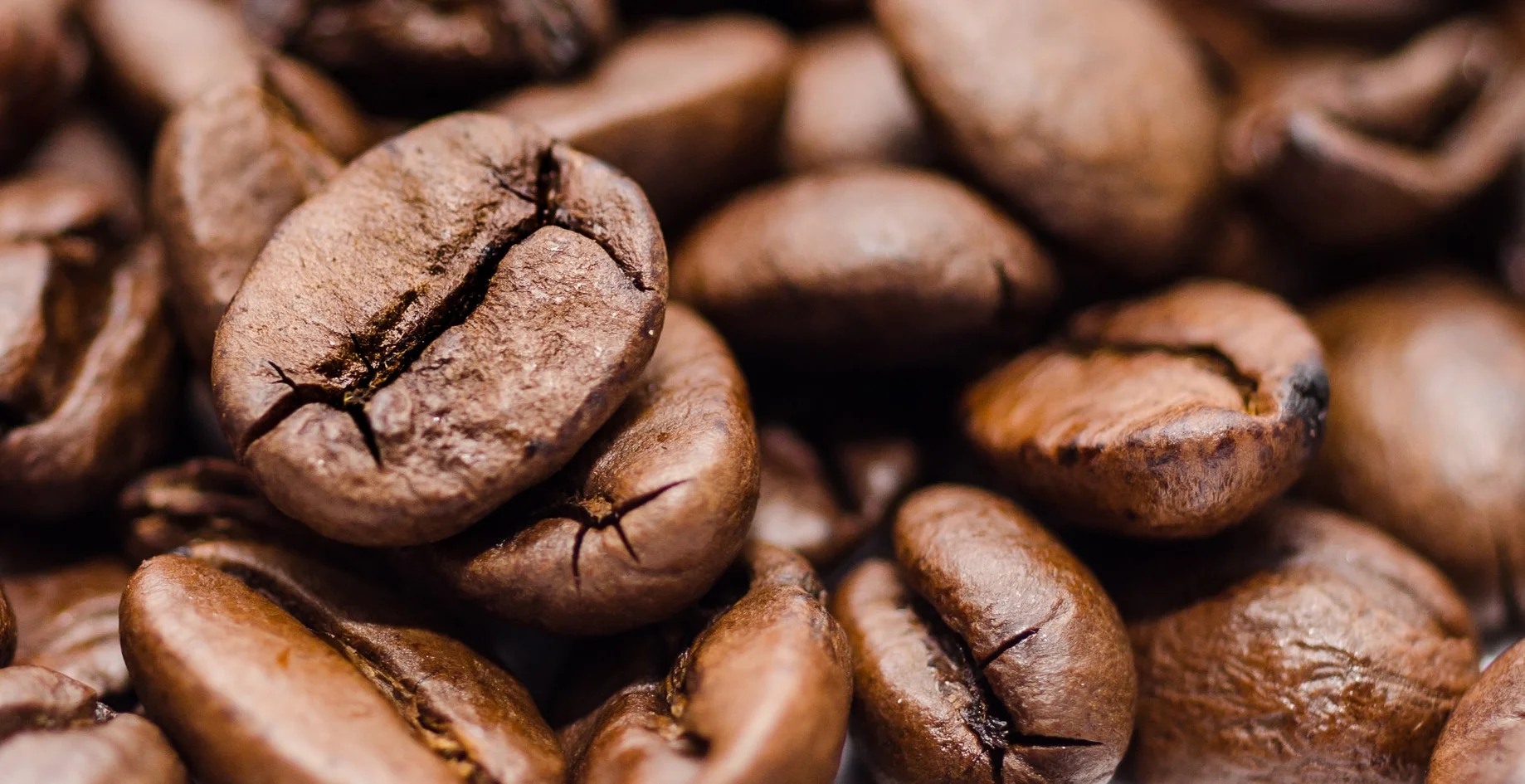 coffee beans.jpg