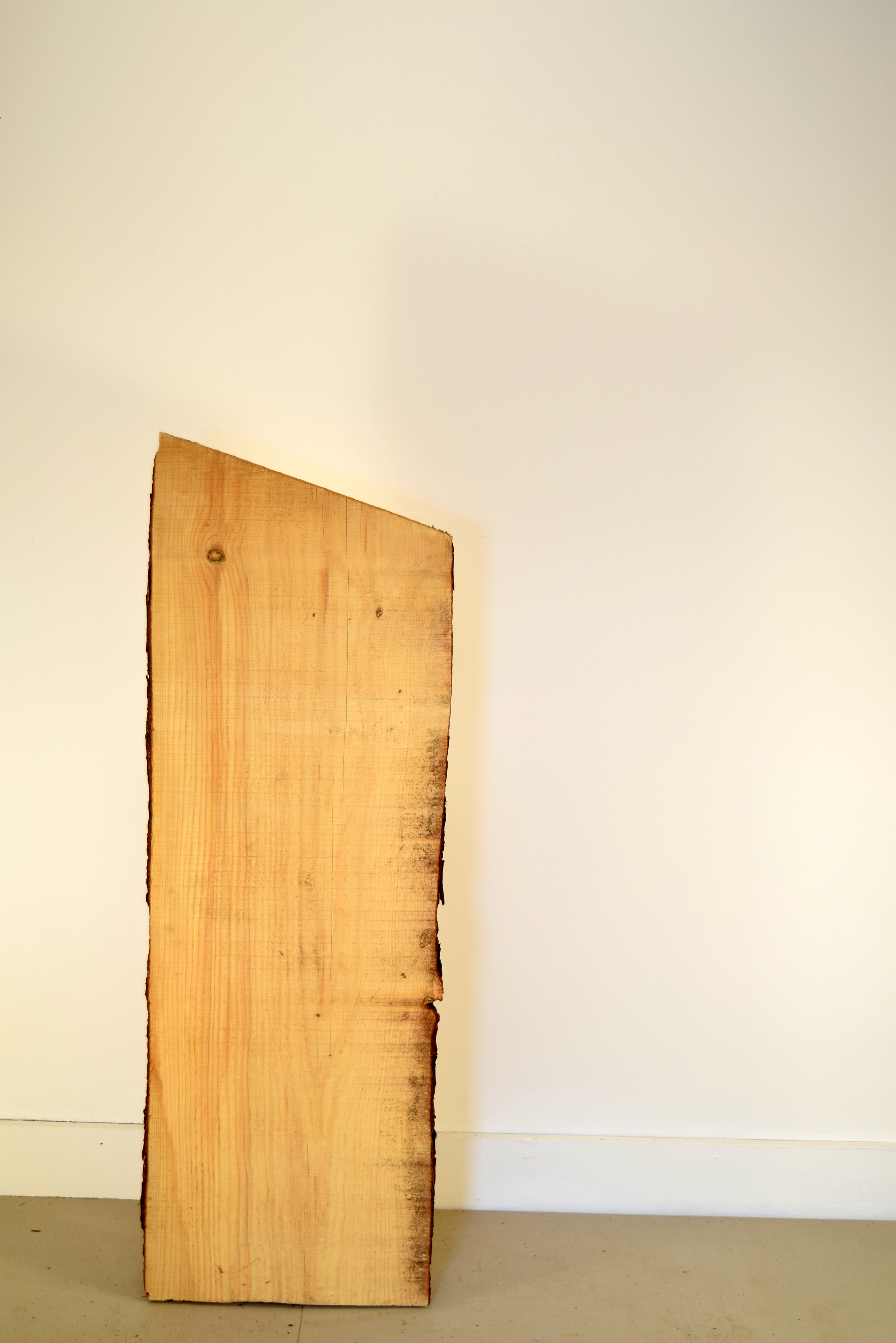 pine2.png