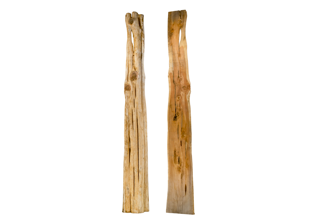 Cedar_Slab Half Log_A2_SS.png