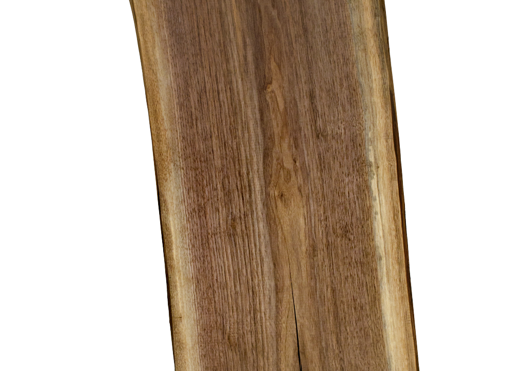 Black Walnut 