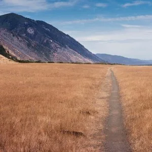 Sebastopol Jade Egg Initiation 
