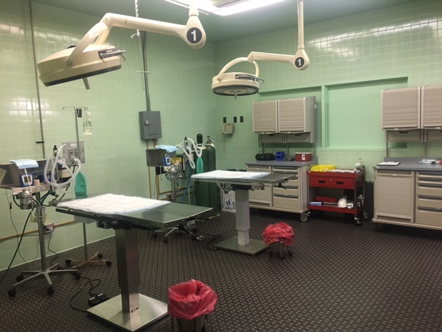 SURGERY ROOM 2 (1).JPG