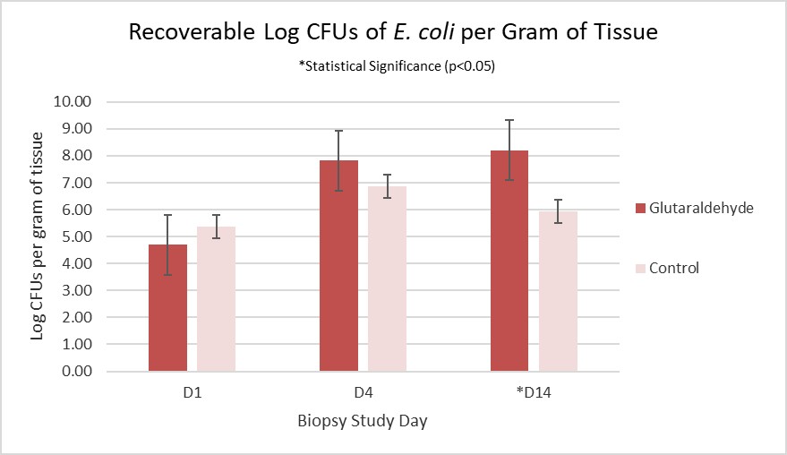 Recovered e. coli in crosslinked wounds.jpg