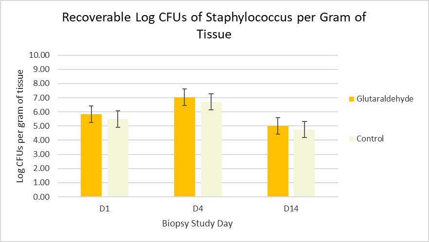 recovered staph in crosslinked wounds.jpg