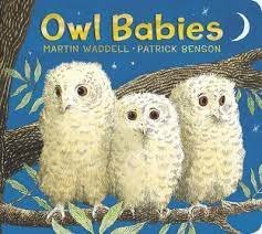 owl babies.jpg