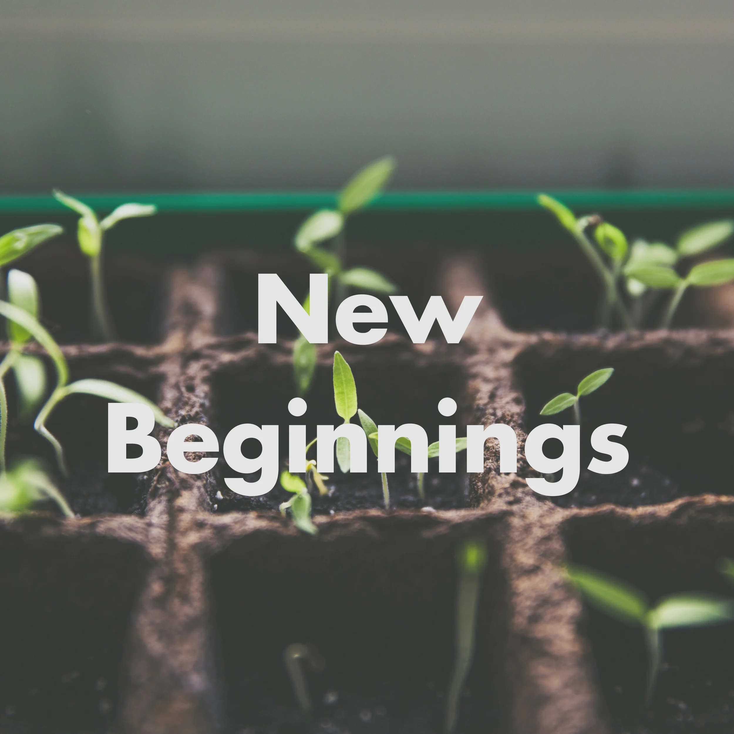 New Beginnings sermon image.jpg