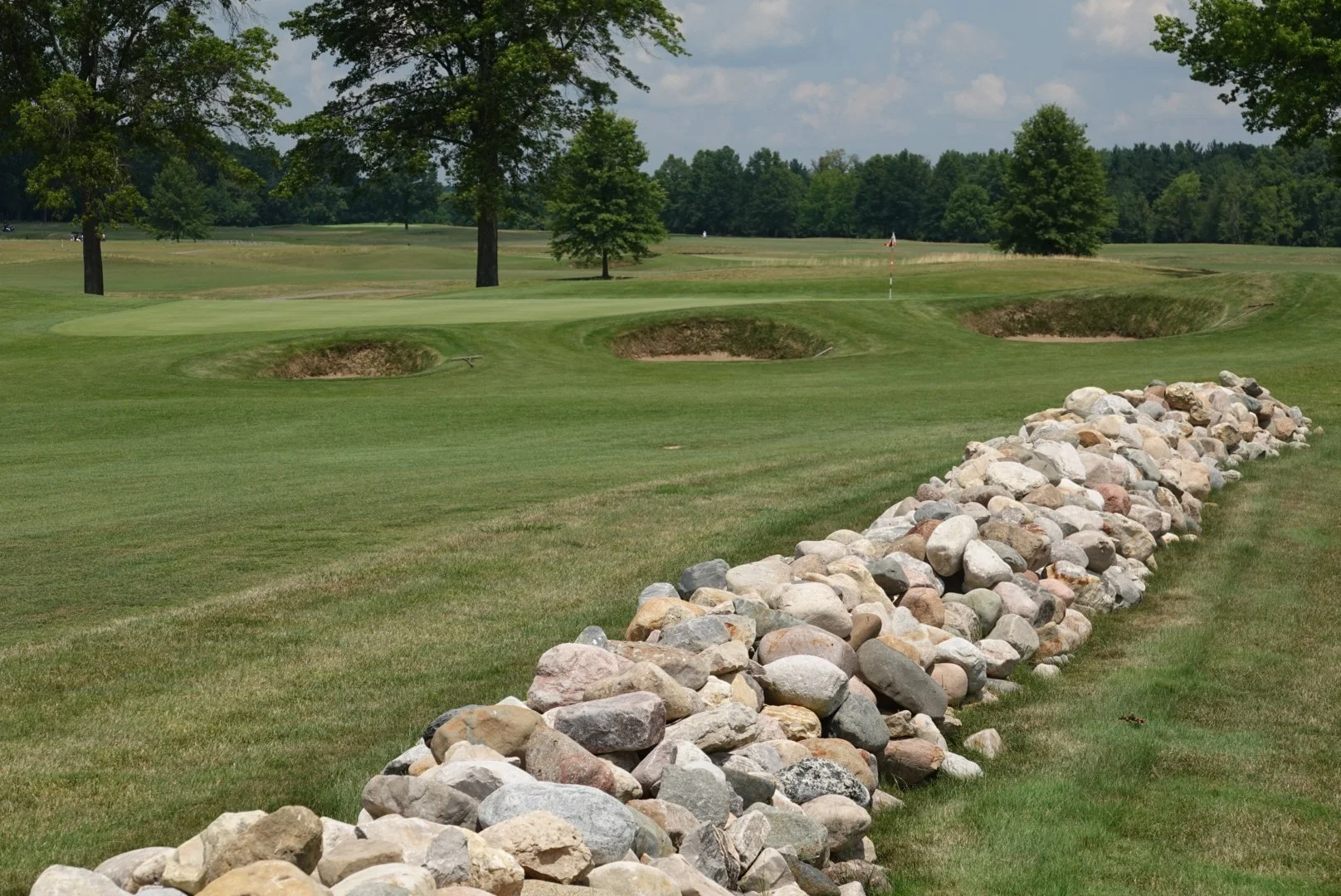 Photo Jul 13 2024, 12 37 53 PM.jpg