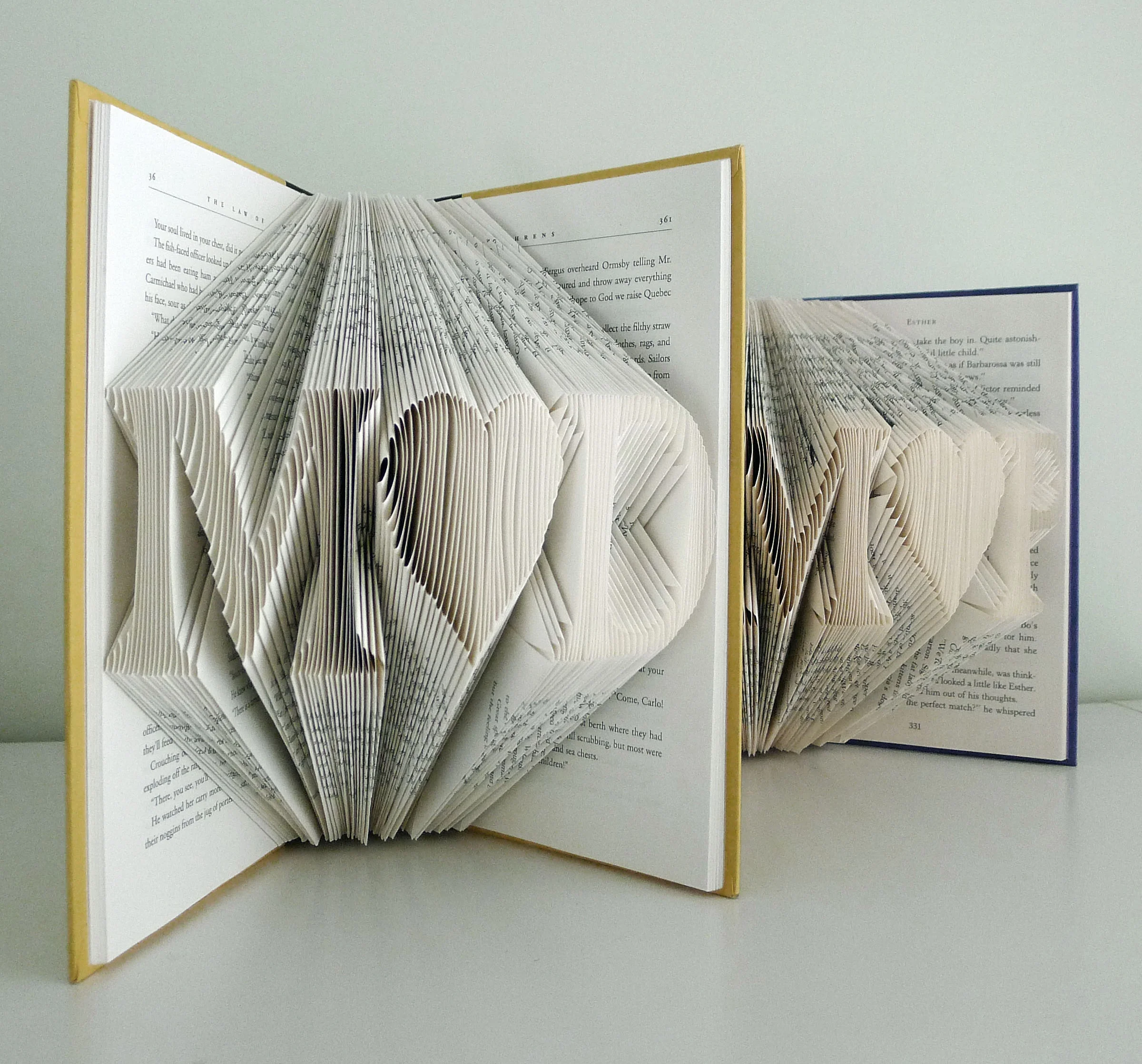 M medium heart P double book.jpg