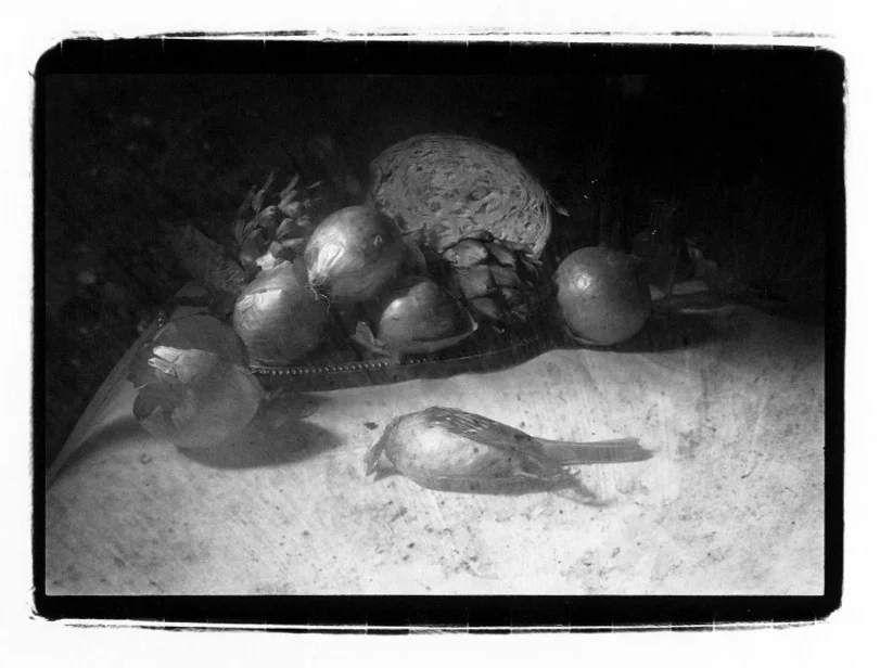 Bird Tray Veg.jpg
