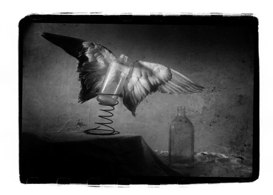 Bottle Wings.jpeg