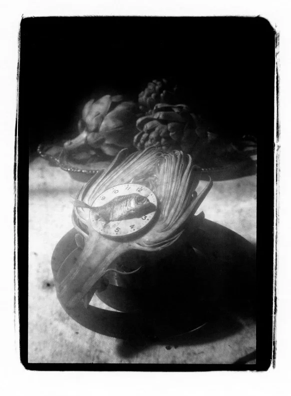 Fish Artichoke.jpg