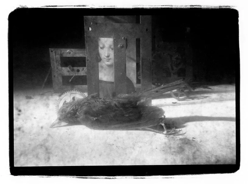 Madonna Watching.jpg
