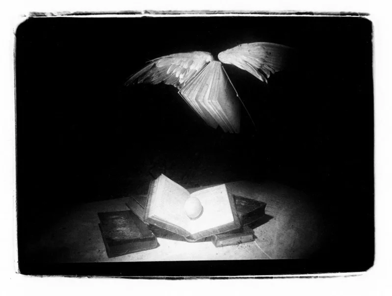 Wing Book.jpg