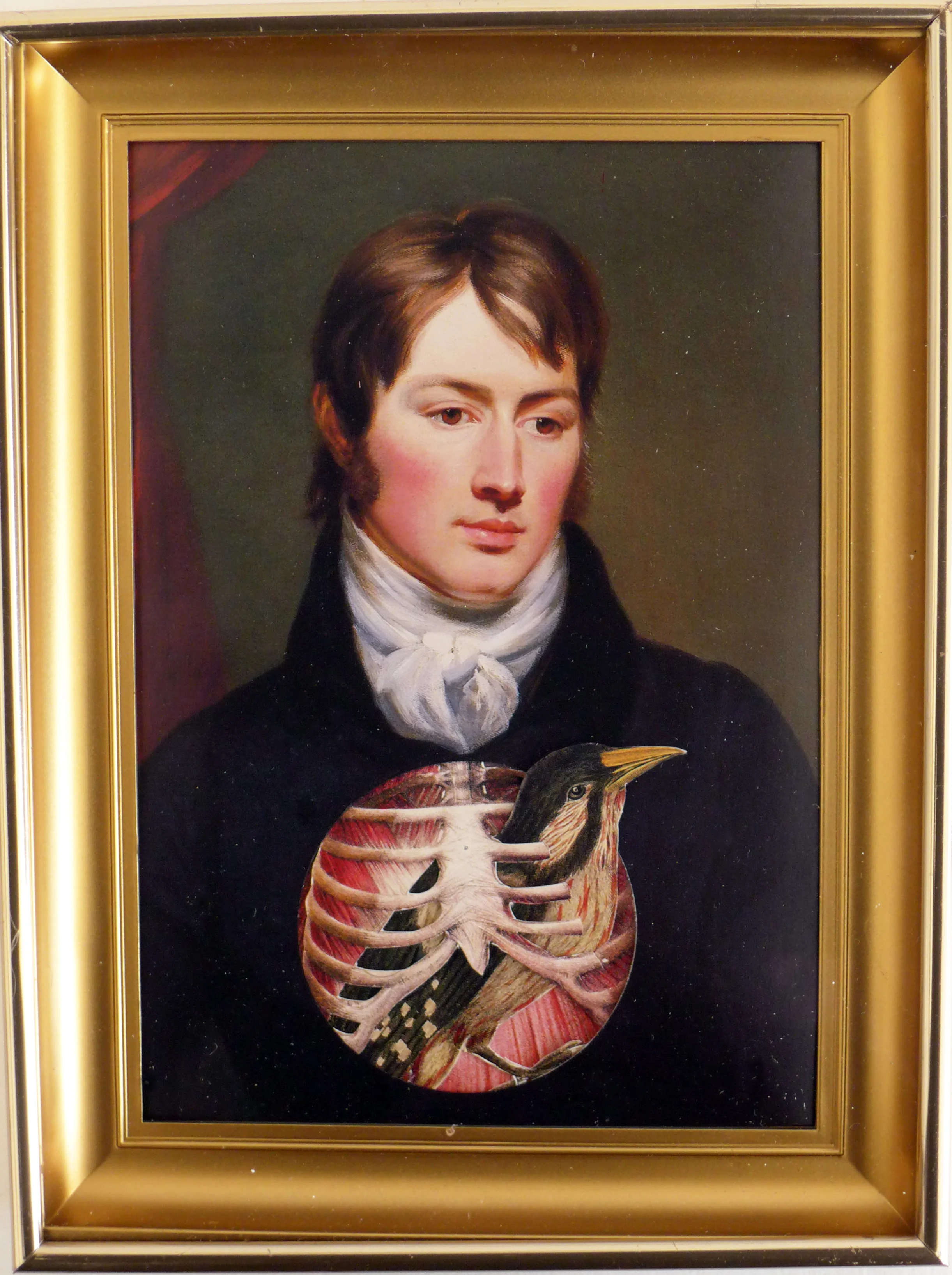 1 bird Chest.jpg