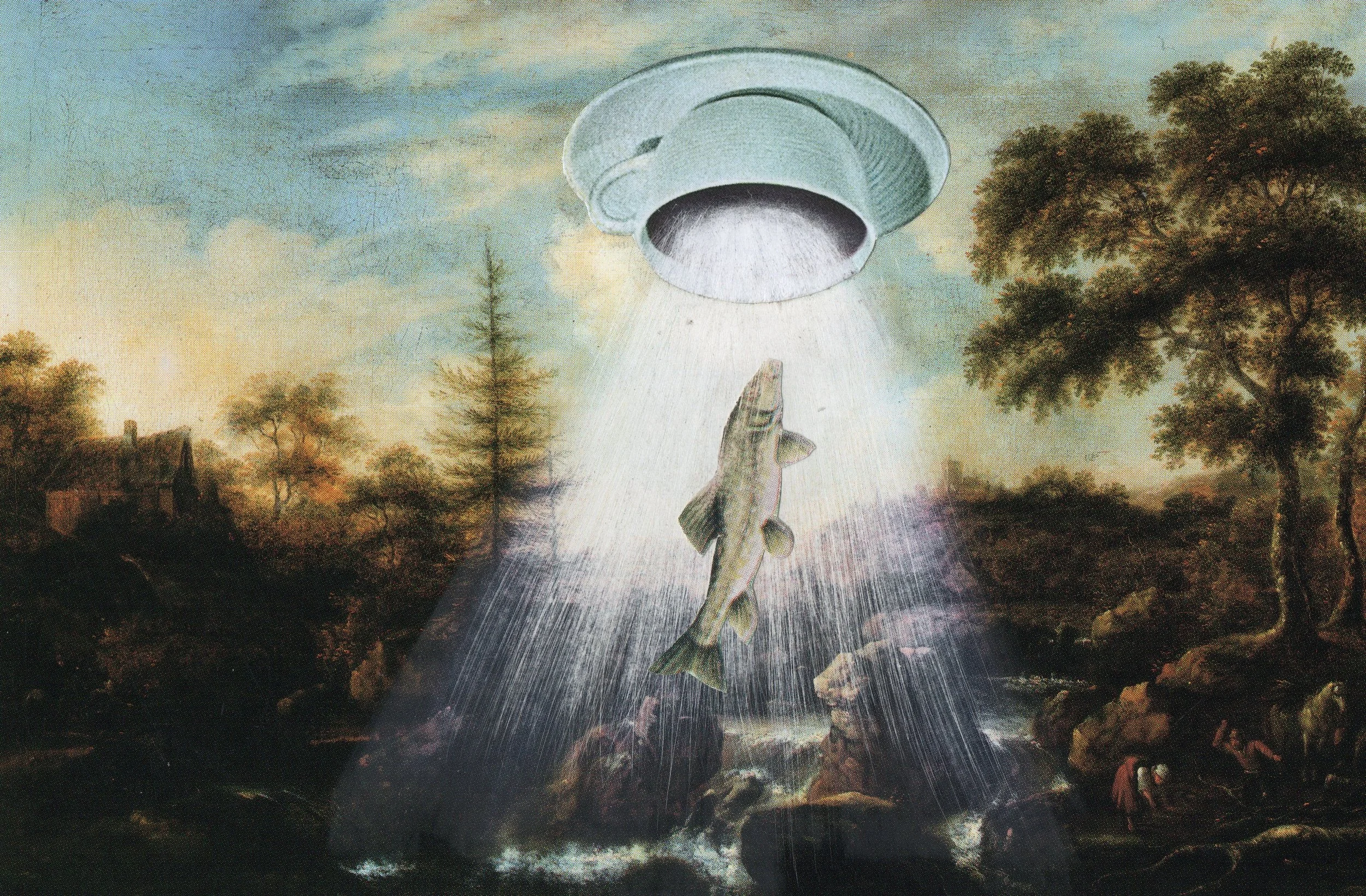UFO fish for Web.jpg