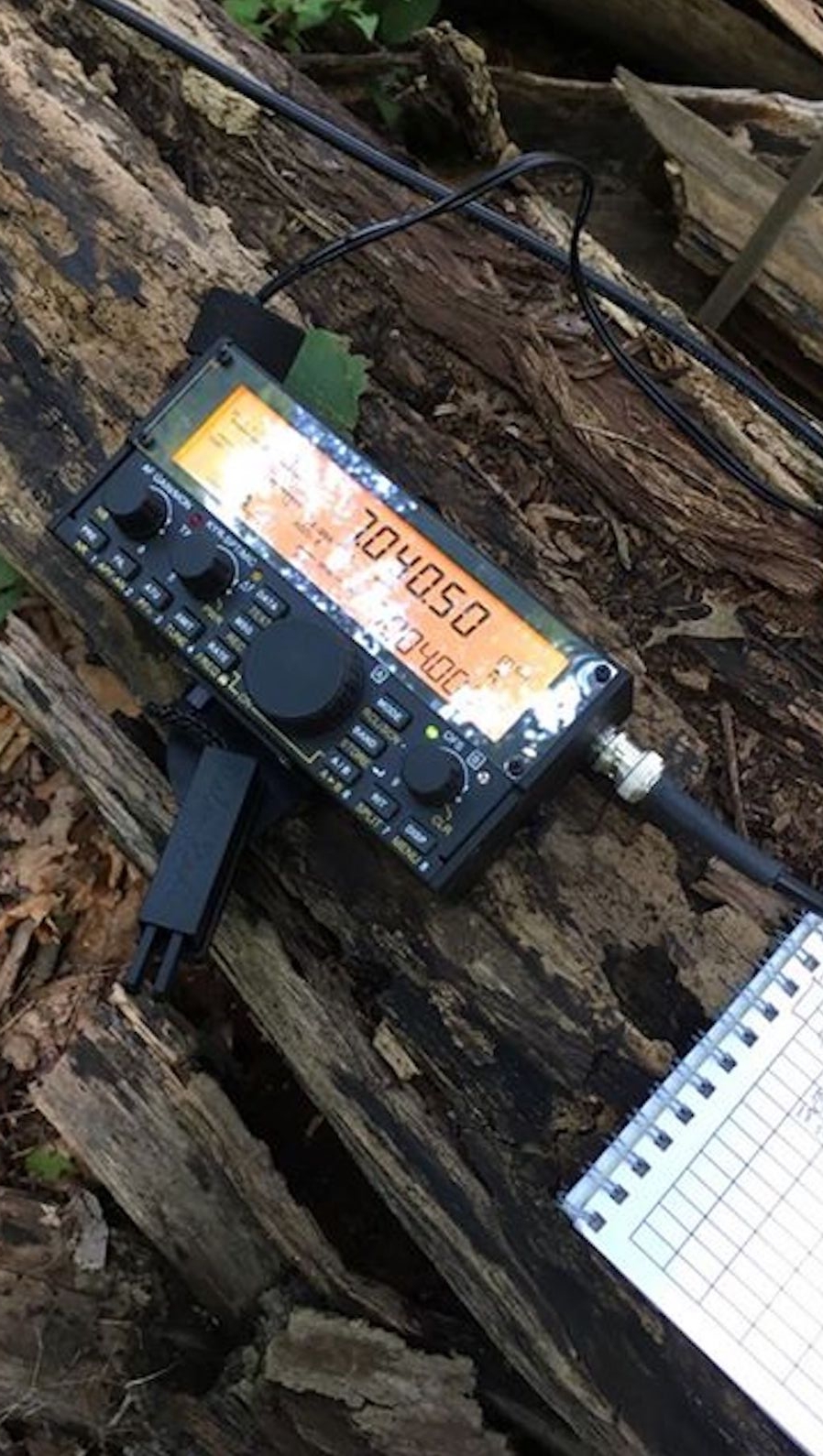 KX3_on_log-1400.jpg