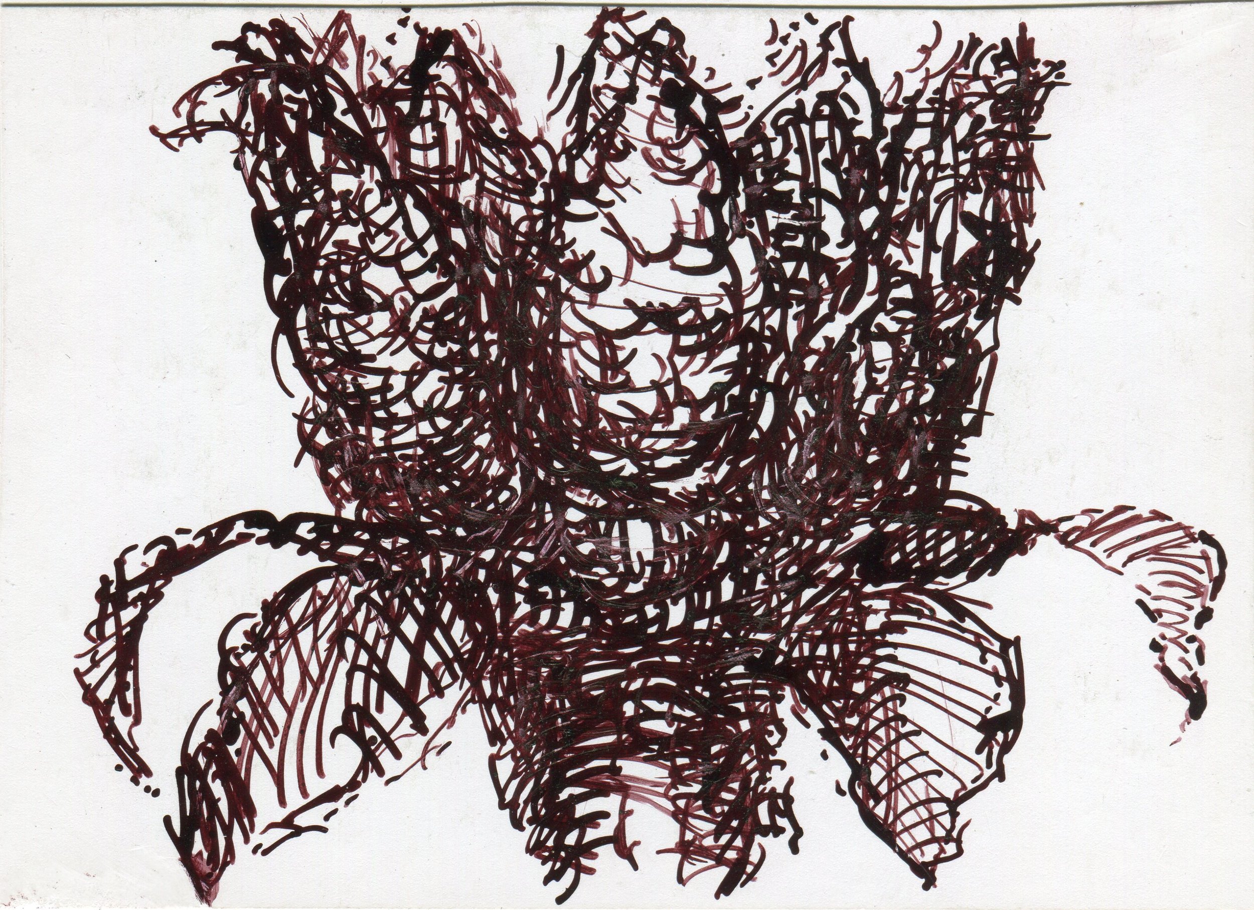 plants 5
