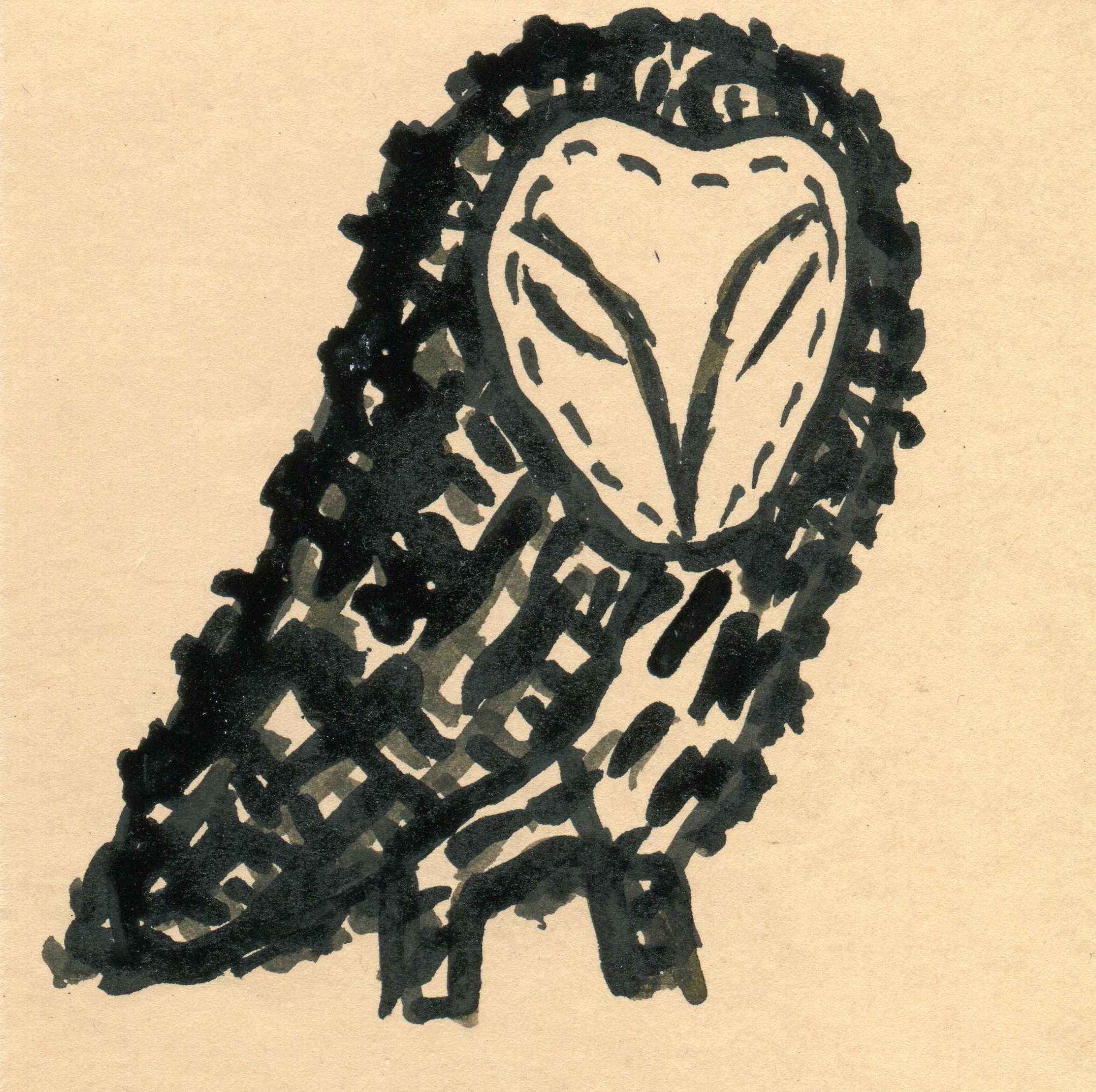 birds 22