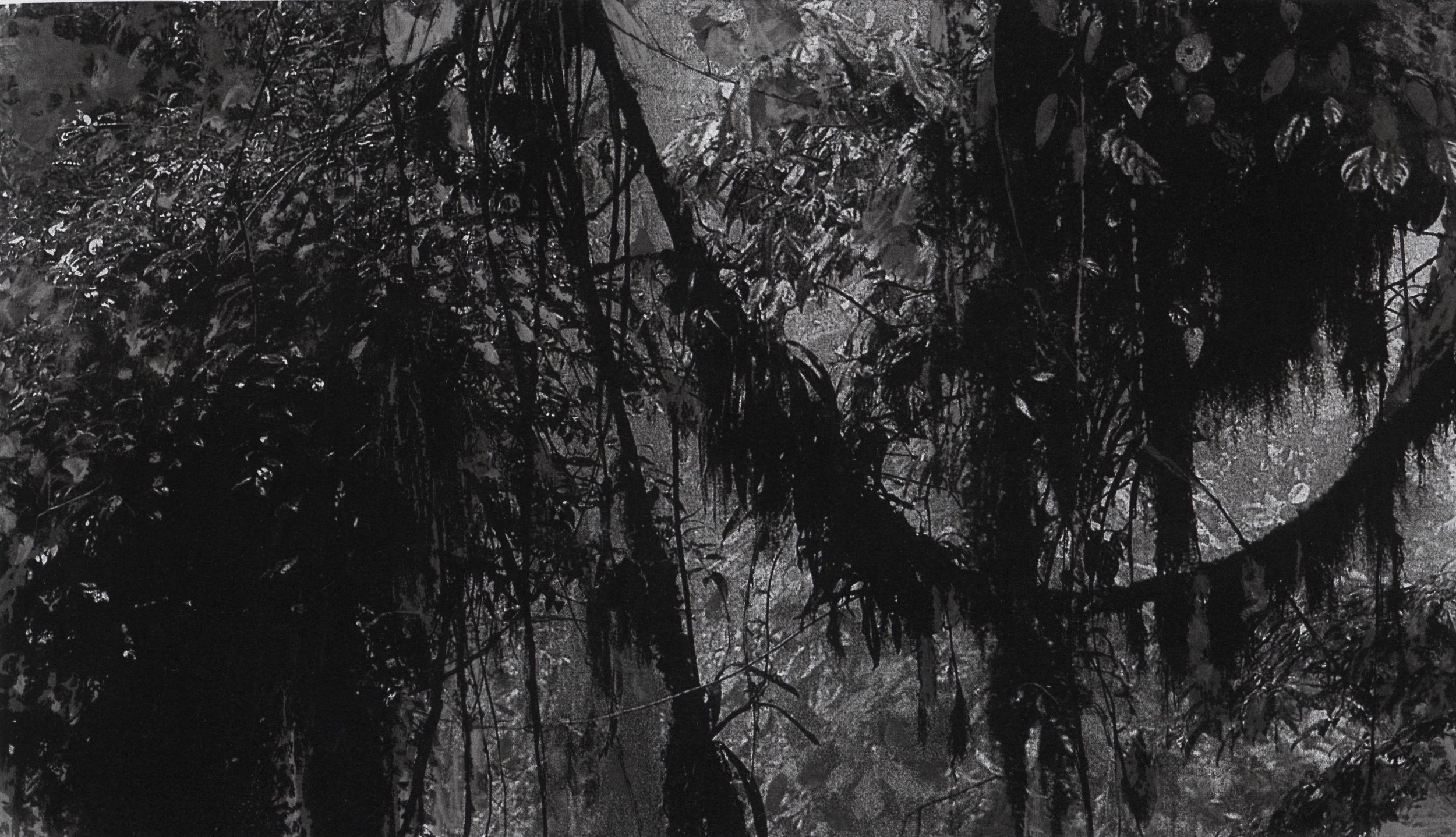 trees 26