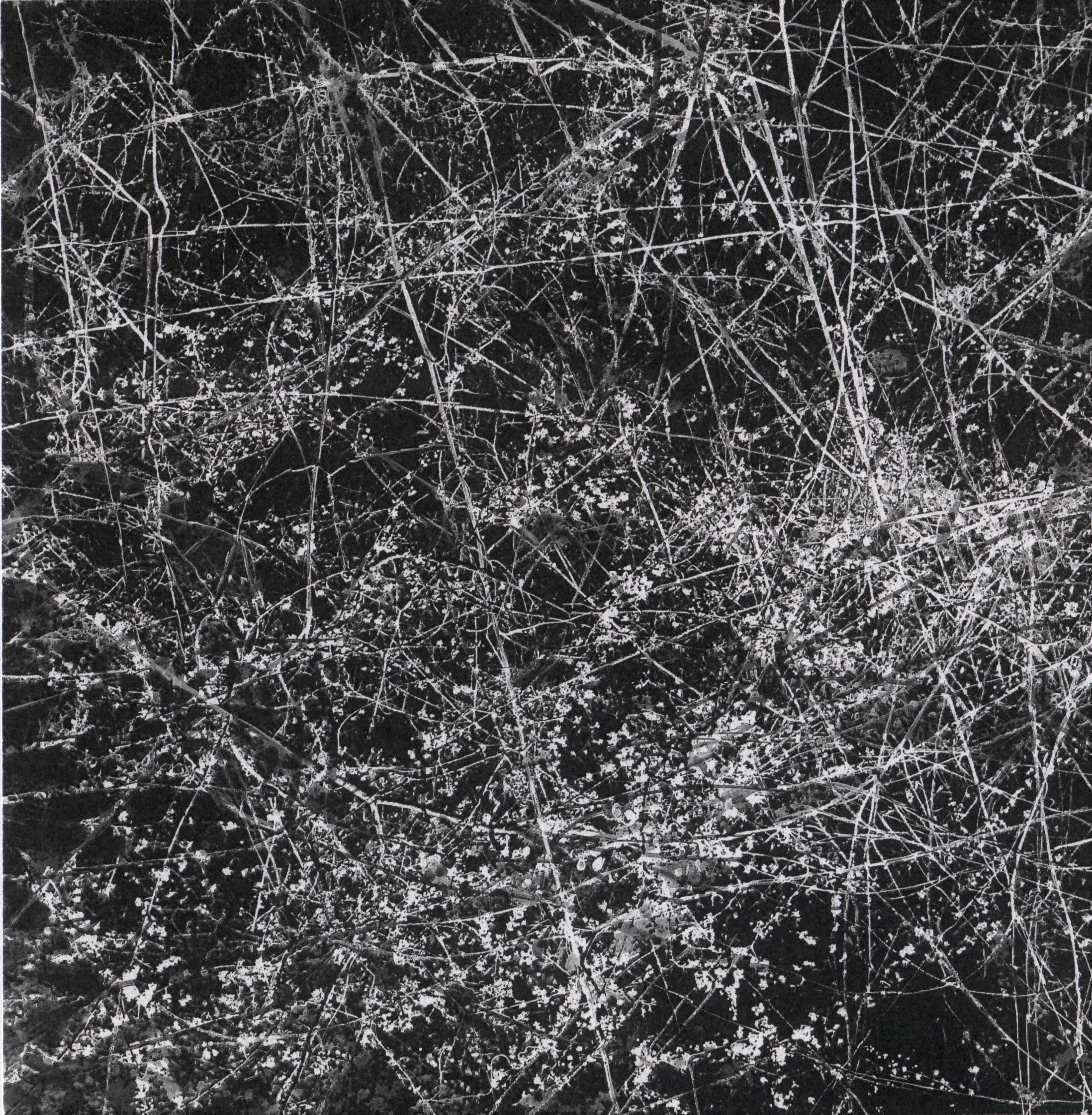 trees 29