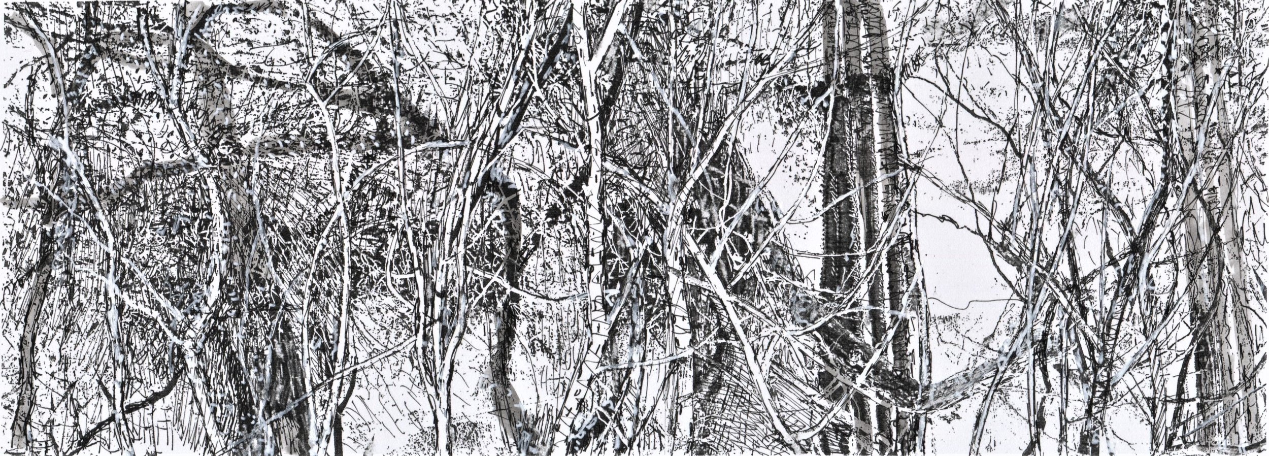 trees 37