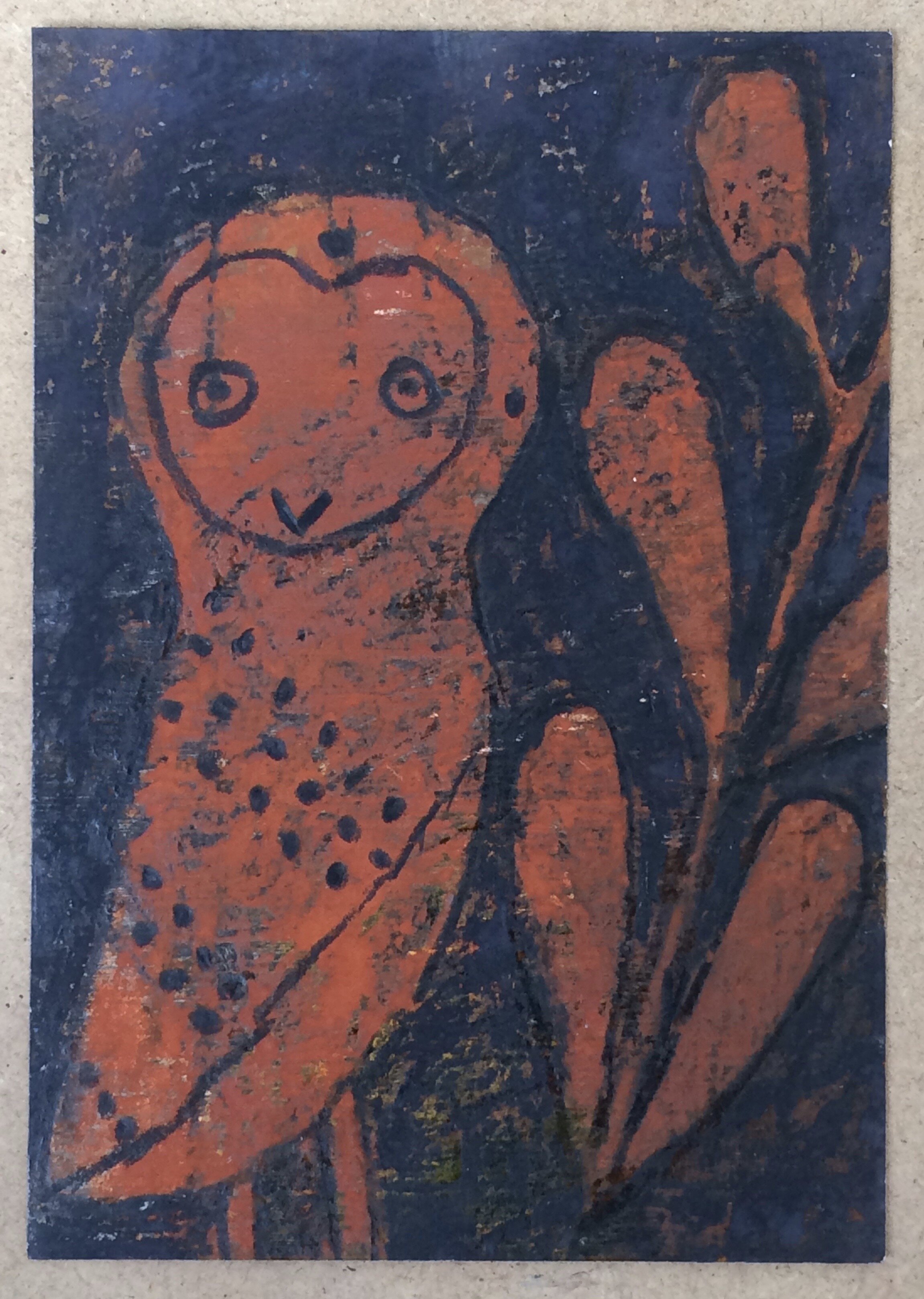 animal 44