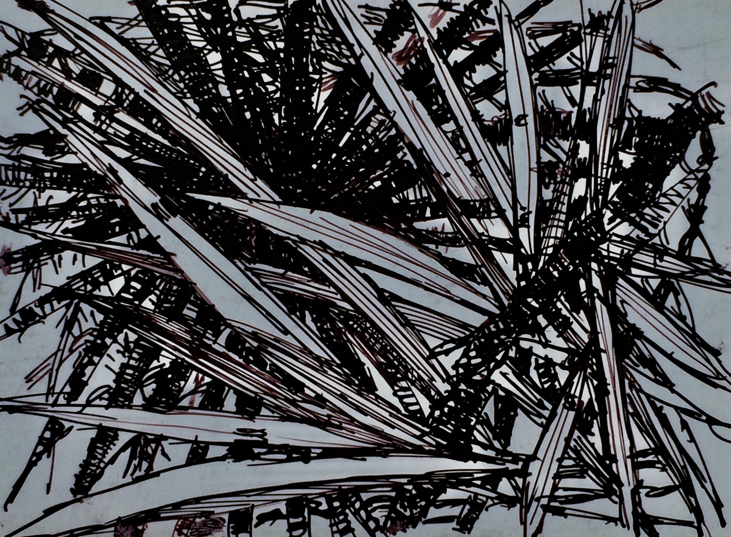 plants 16